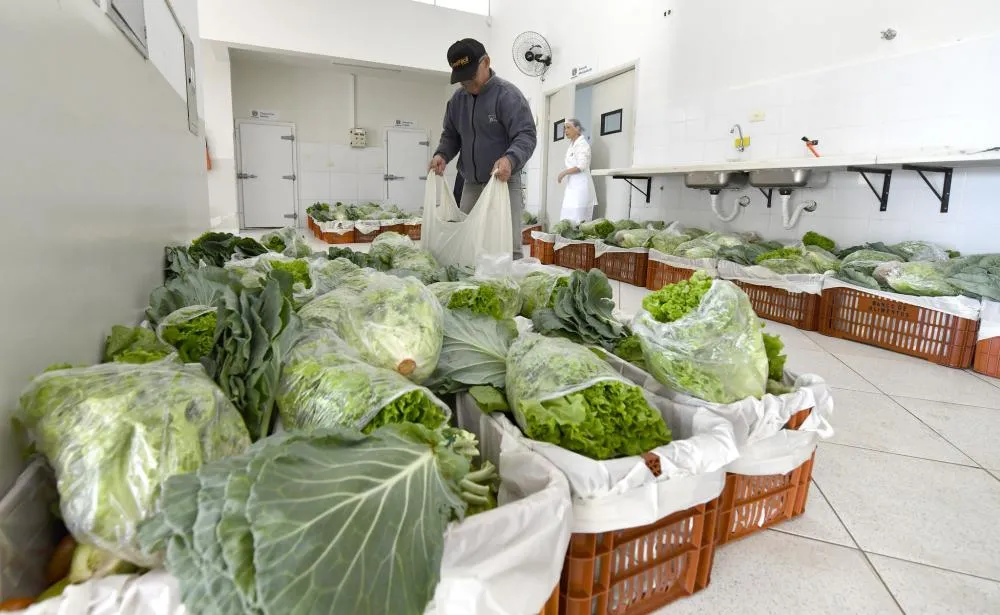 Banco de Alimentos atende mais de 300 famílias